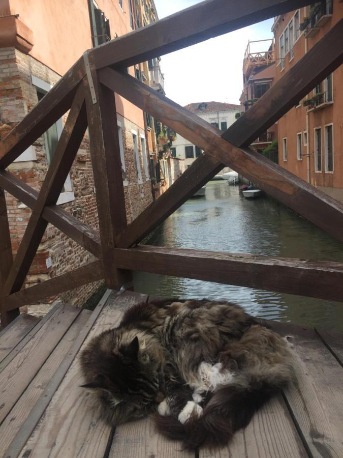Mori 3, In Centro Storico Di Veneziaアパートメント エクステリア 写真